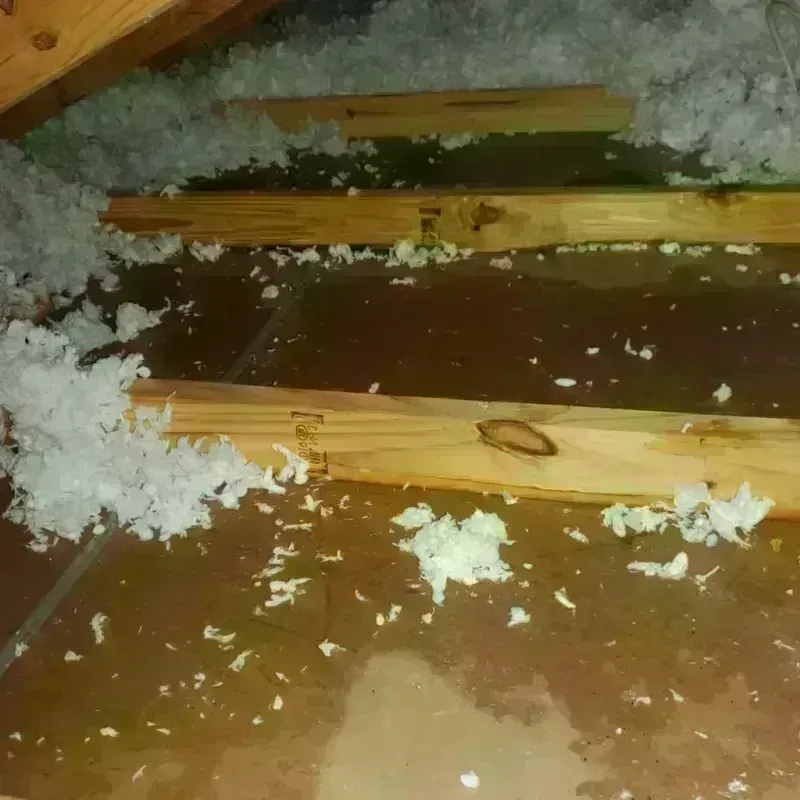 Attic Water Damage in Goodland, IN